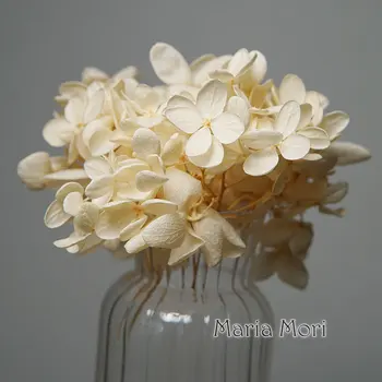 Konzervirano Hortenzija Метельчатая Cvijeće Elipsa Lišće Uredski Dekor Crystal Ljepilo DIY Cvijeće, Mirisne Svijeće Materijal
