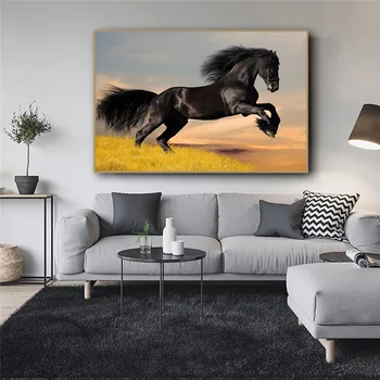 Plakat sa Slikom Divljih Konja i po cijeloj površini 