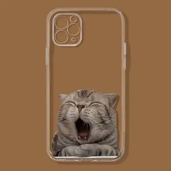 Slatka mekana torbica za telefon sa slikom mačke i psi za iphone 7 plus 14 8 se2 se3 13 mini 11 12 pro max tpu case za iphone xs xr x 6s 6 branik u obliku školjke
