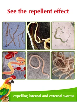 Uklanjanje unutarnjih i vanjskih crva Čisti kod ptica od unutarnjih i vanjskih parazita, kao što su okrugli crvi, nematoda, vodovodne